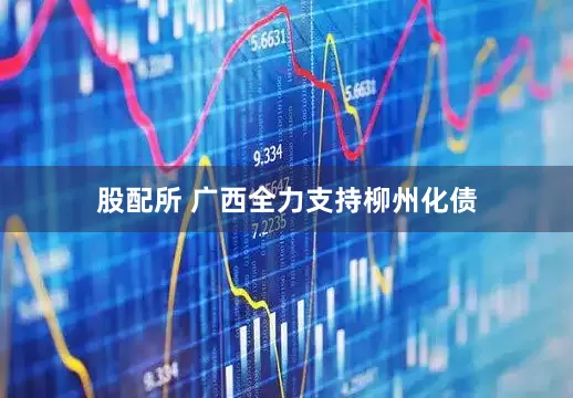 股配所 广西全力支持柳州化债