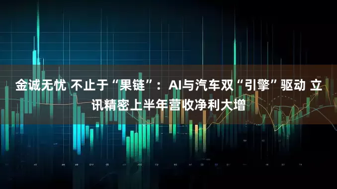 金诚无忧 不止于“果链”：AI与汽车双“引擎”驱动 立讯精密上半年营收净利大增